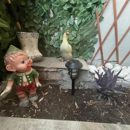 Chris & Mary Beautiful Yard Skg * Thessaloniki